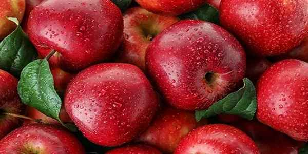 تصویر 1 از خرید و قیمت سیب سرخ دماوند + فروش عمده